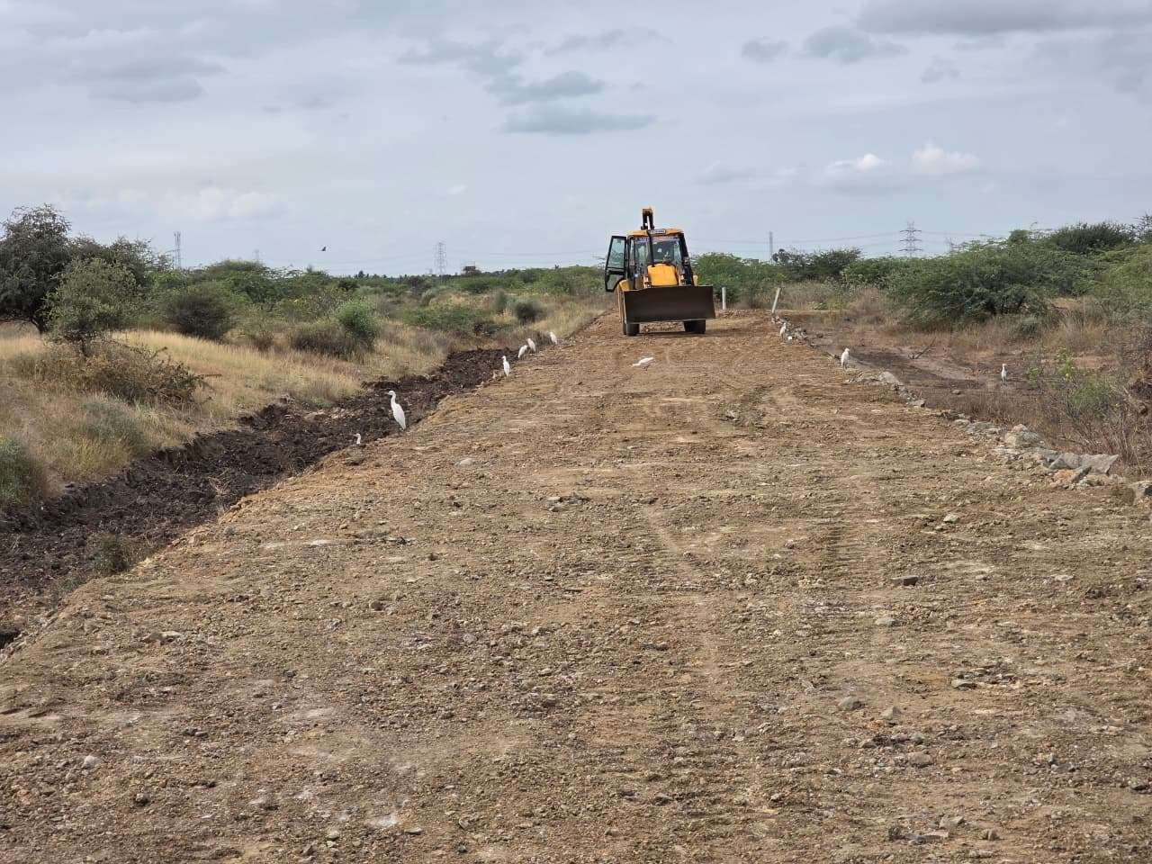 Solar Project