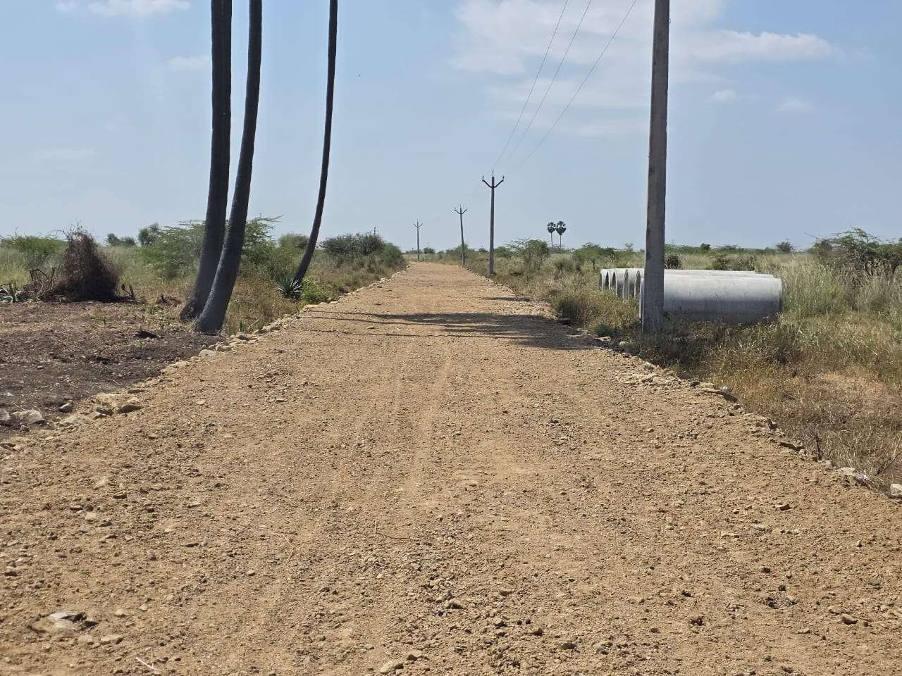 Solar Project